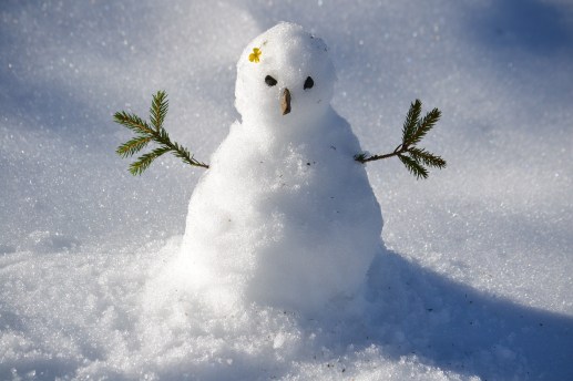 snowman-1227476_1920